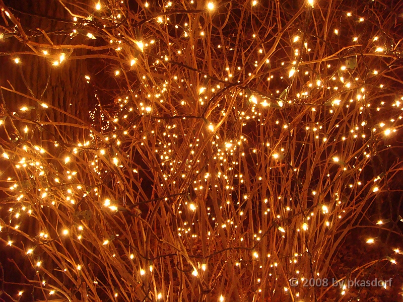 029 Toledo Zoo Light Show [2008 Dec 27].JPG - Scenes from the Toledo Zoo Light Show.